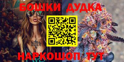 мдпв Будённовск
