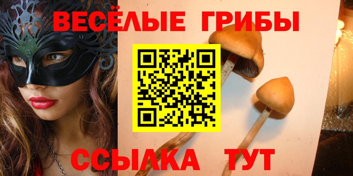 Ефремов  Псилоцибиновые грибы MAGIC MUSHROOMS  Вход с VPN 